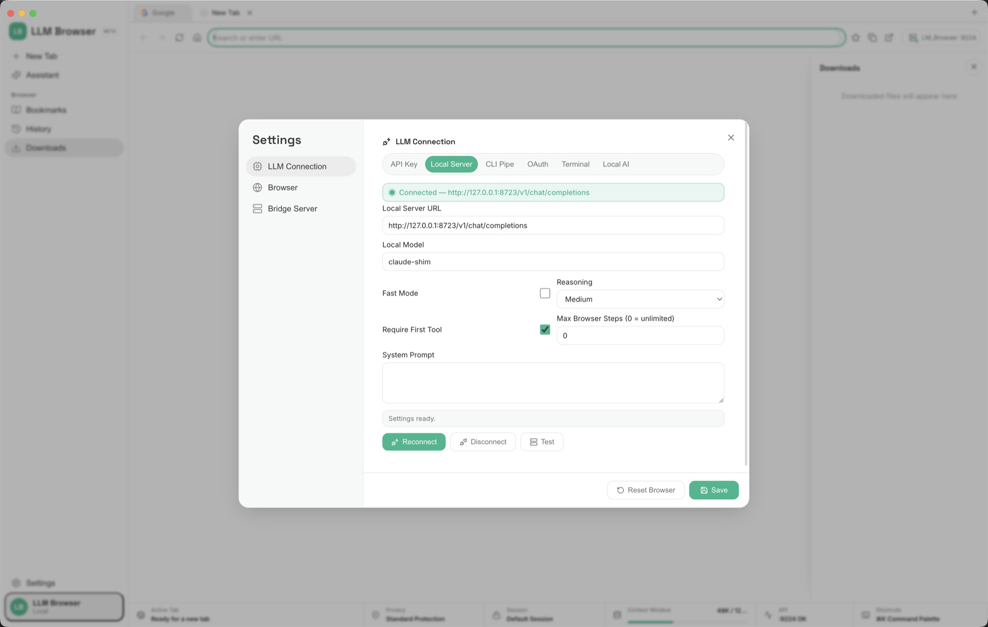 LLM Browser Settings on the LLM Connection tab listing API key, OAuth, local server, local AI, CLI pipe, and terminal.